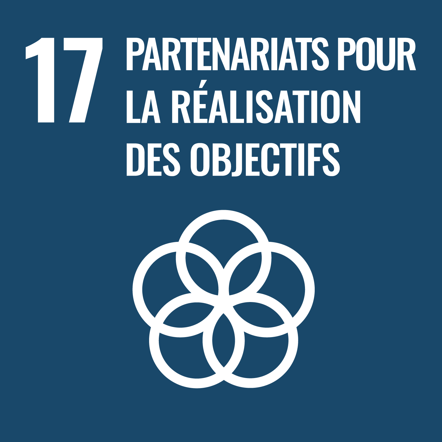 ODD 17 — Partenariats pour la réalisation des objectifs
