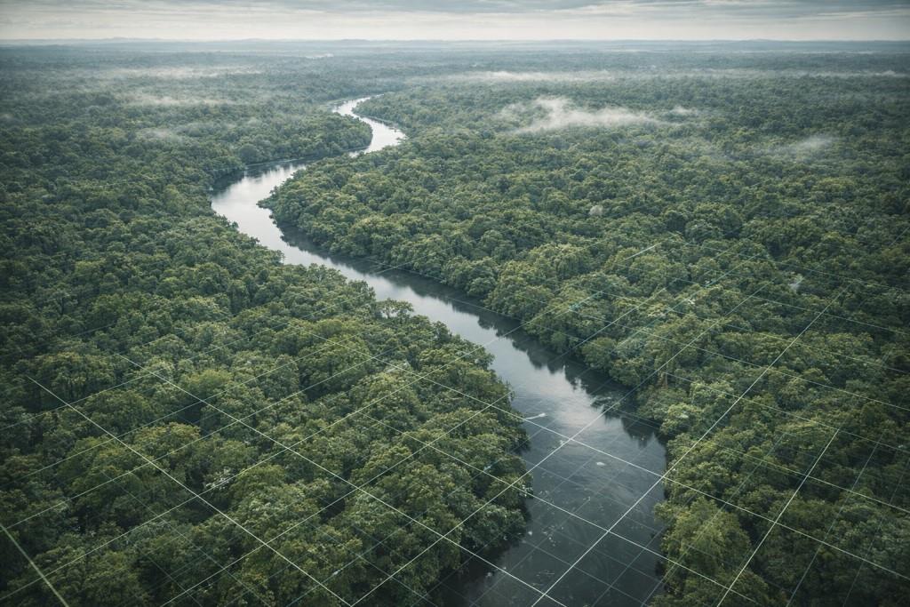 Environment Sector